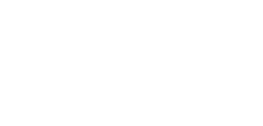 logo weiss
